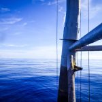 WhatsApp Image 2024-12-03 at 8.16.17 PM (2)